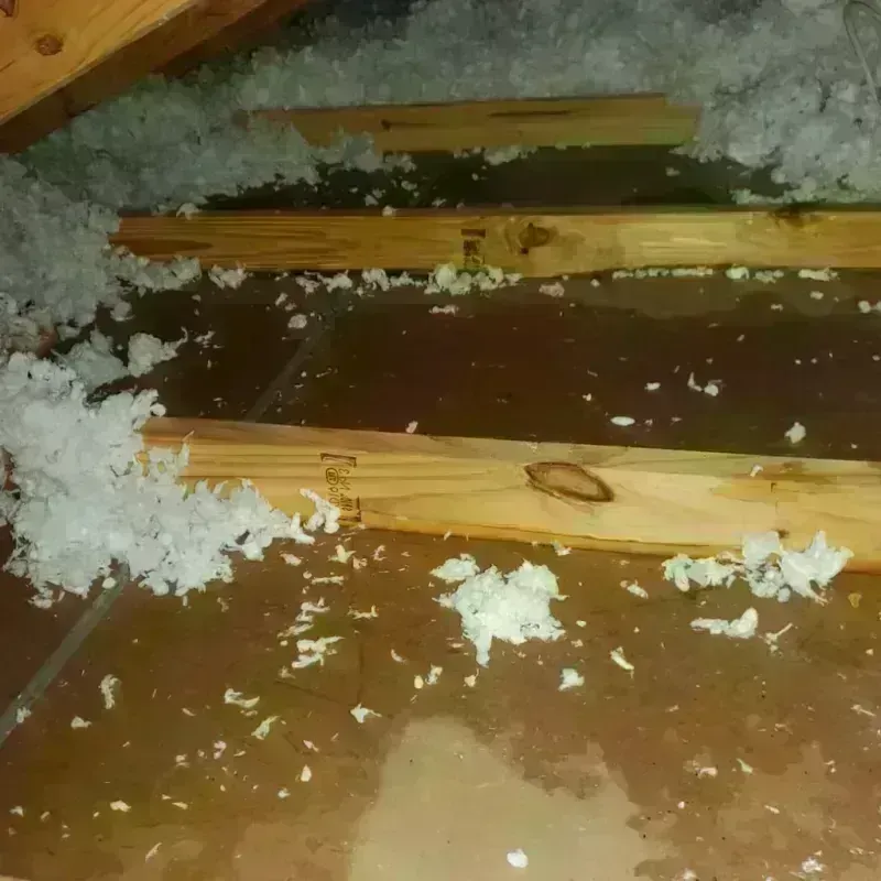 Attic Water Damage in Southaven, MS